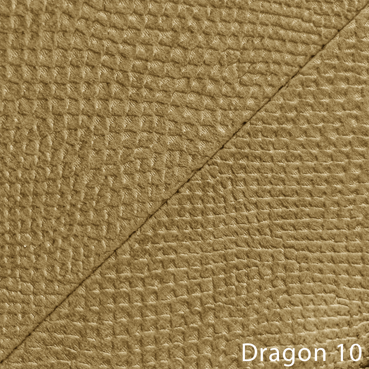 DRAGON 10