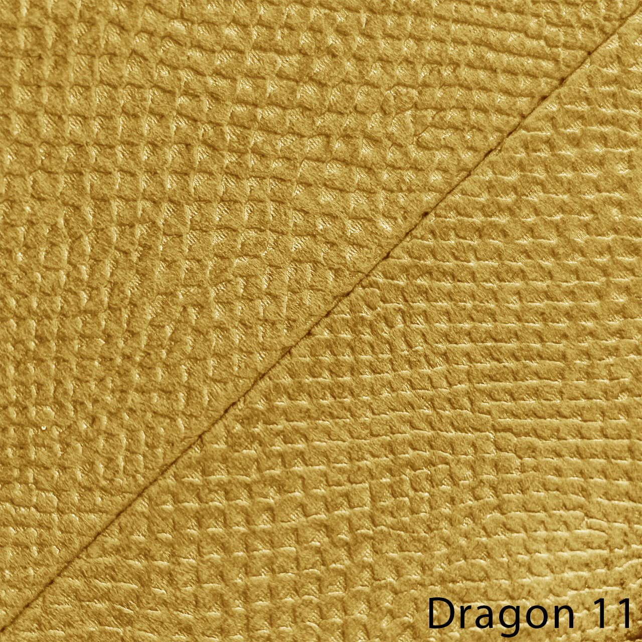 DRAGON 11