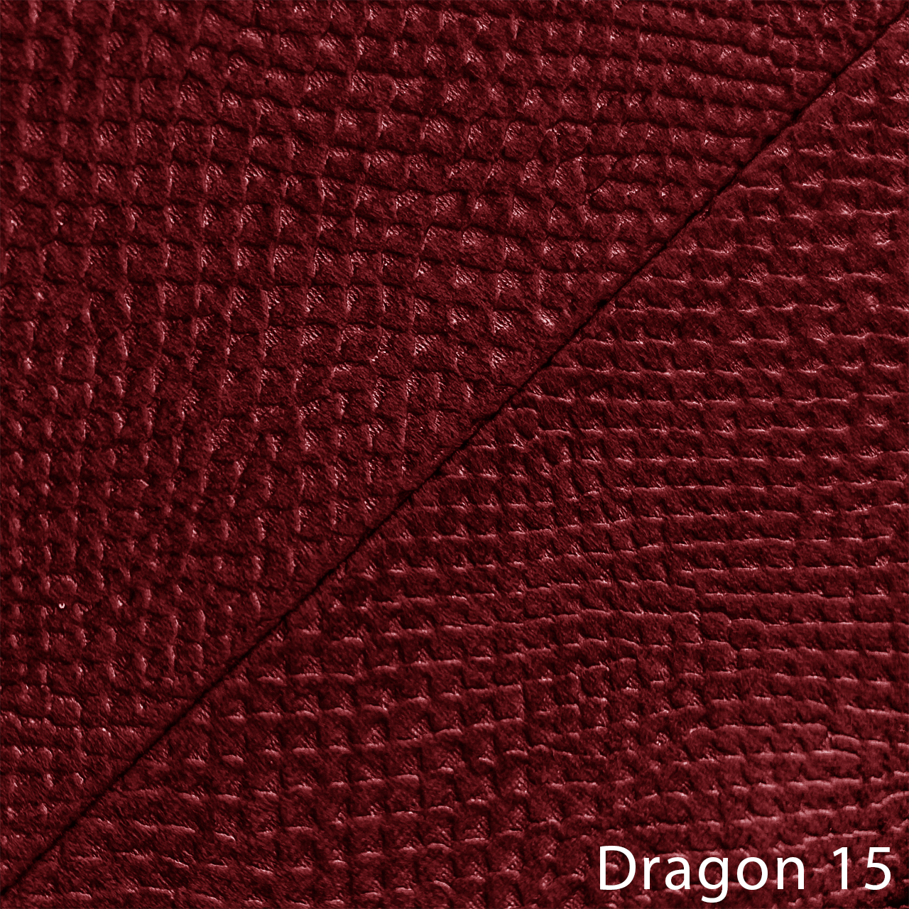 DRAGON 15