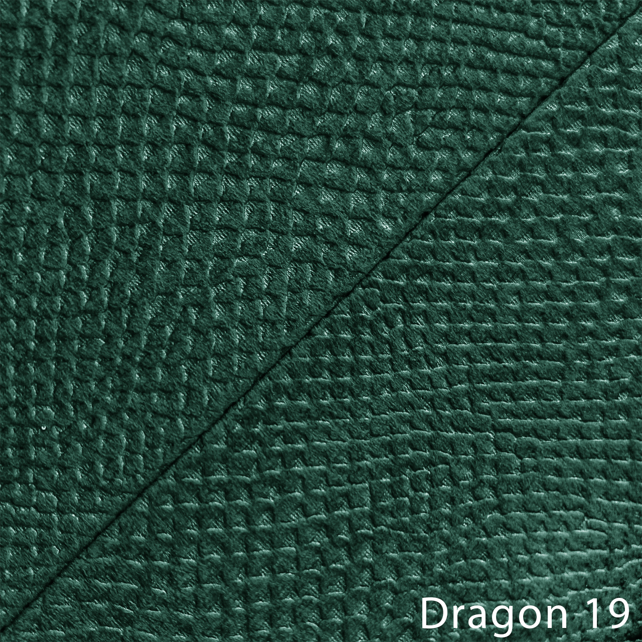 DRAGON 19