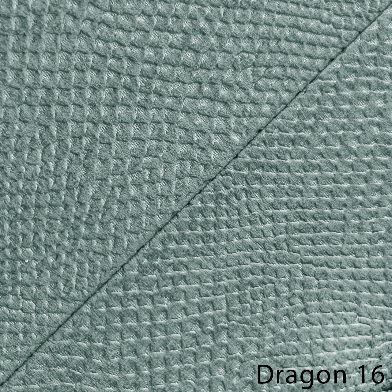 DRAGON 16