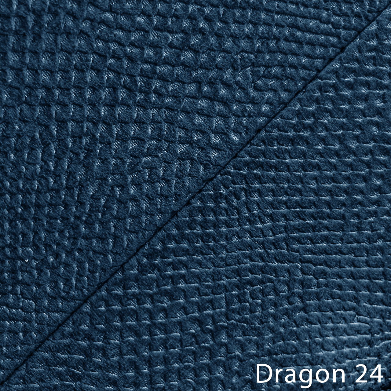 DRAGON 24