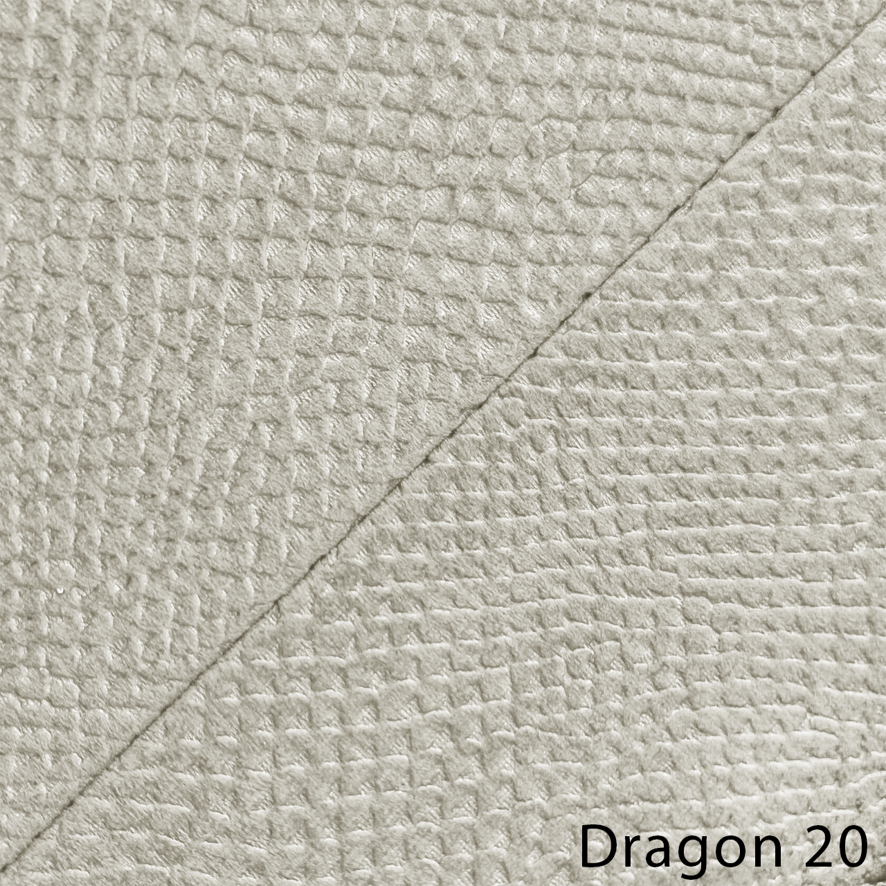 DRAGON 20