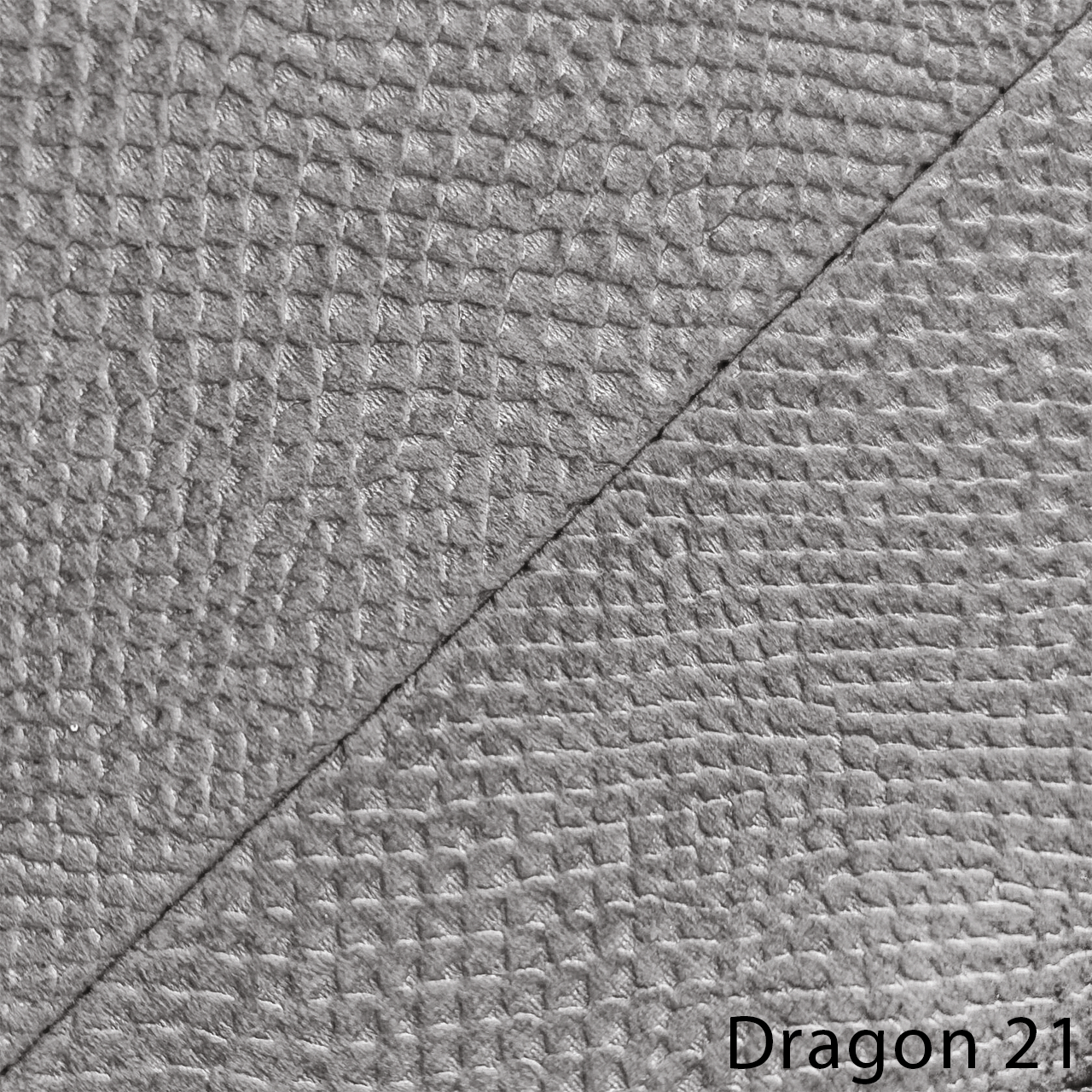 DRAGON 21