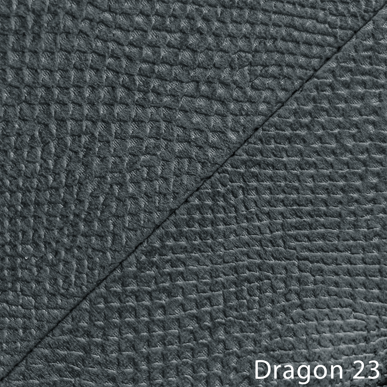 DRAGON 23