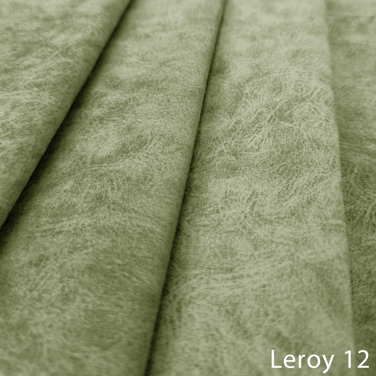LEROY 12