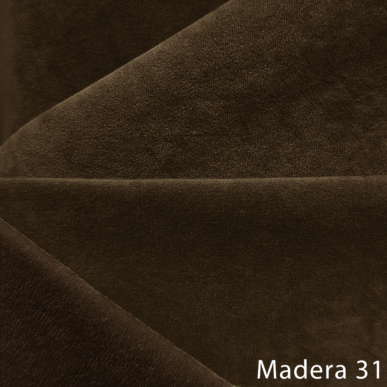 MADERA 31