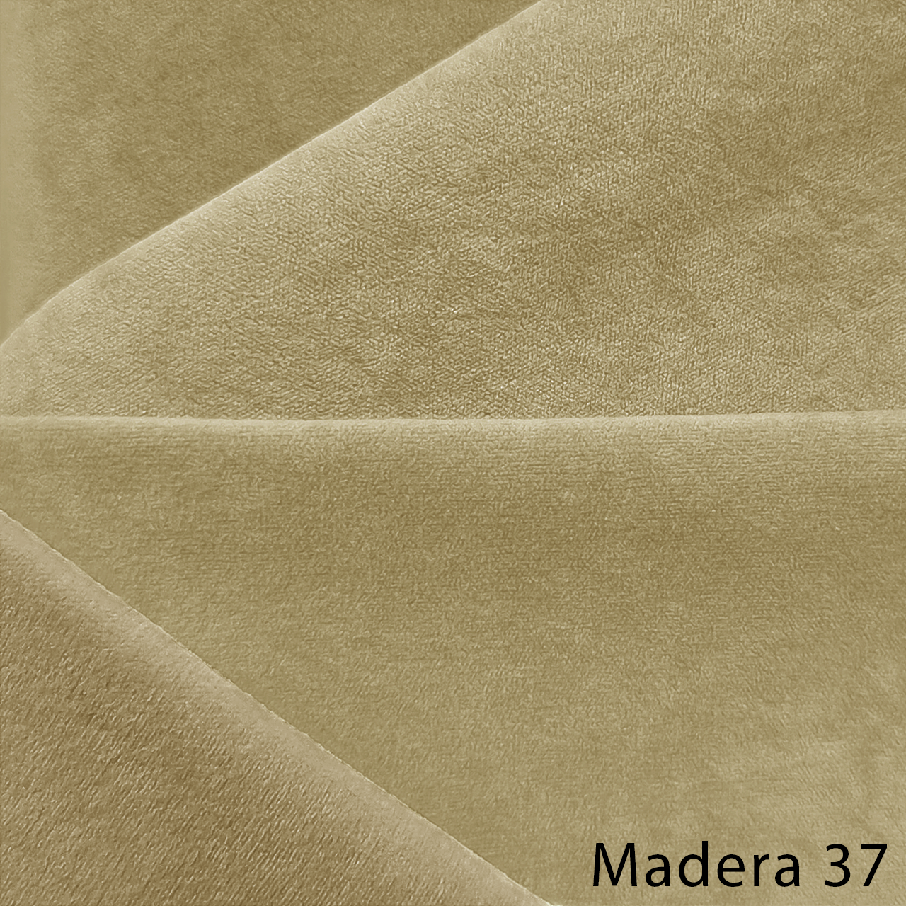 MADERA 37