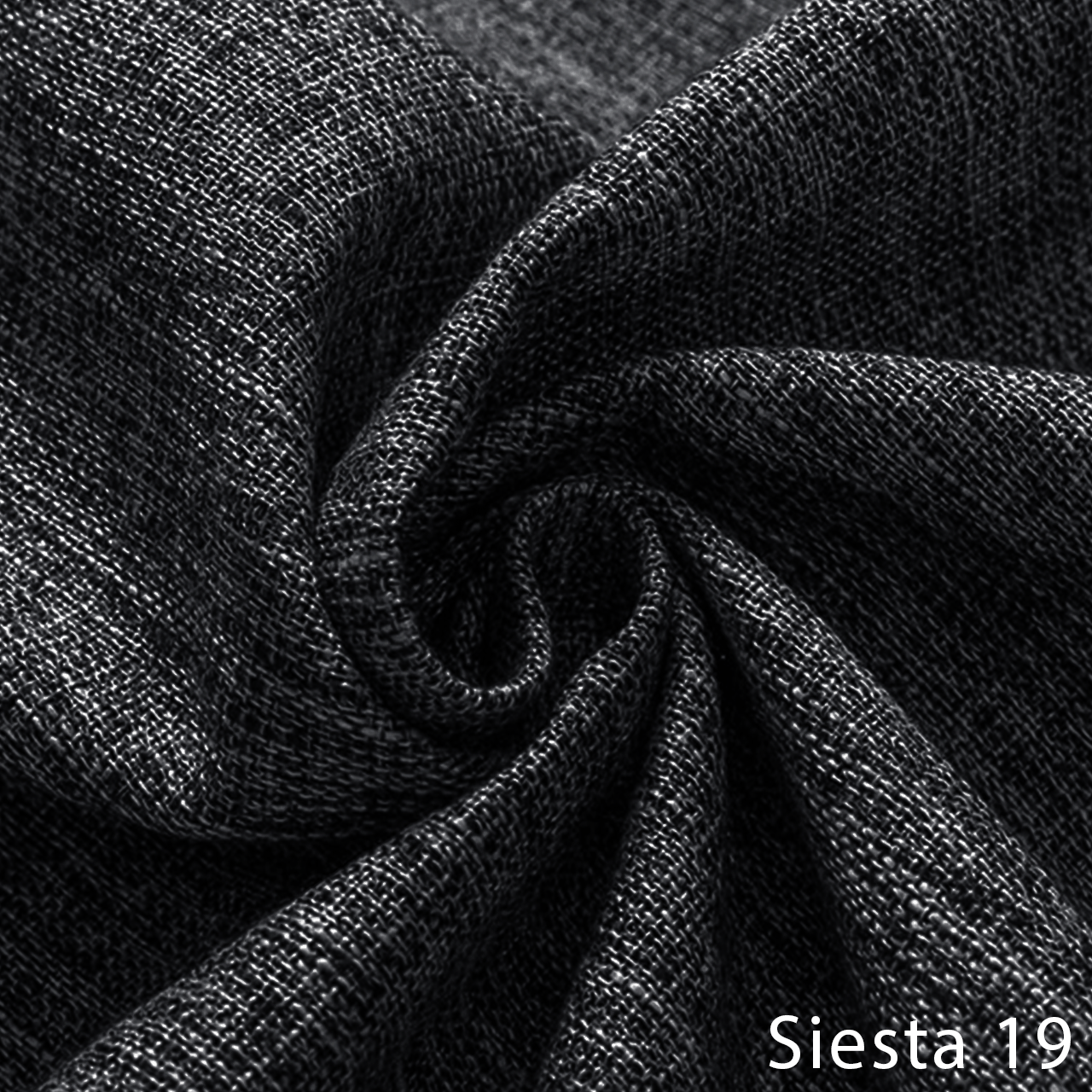 SIESTA 19