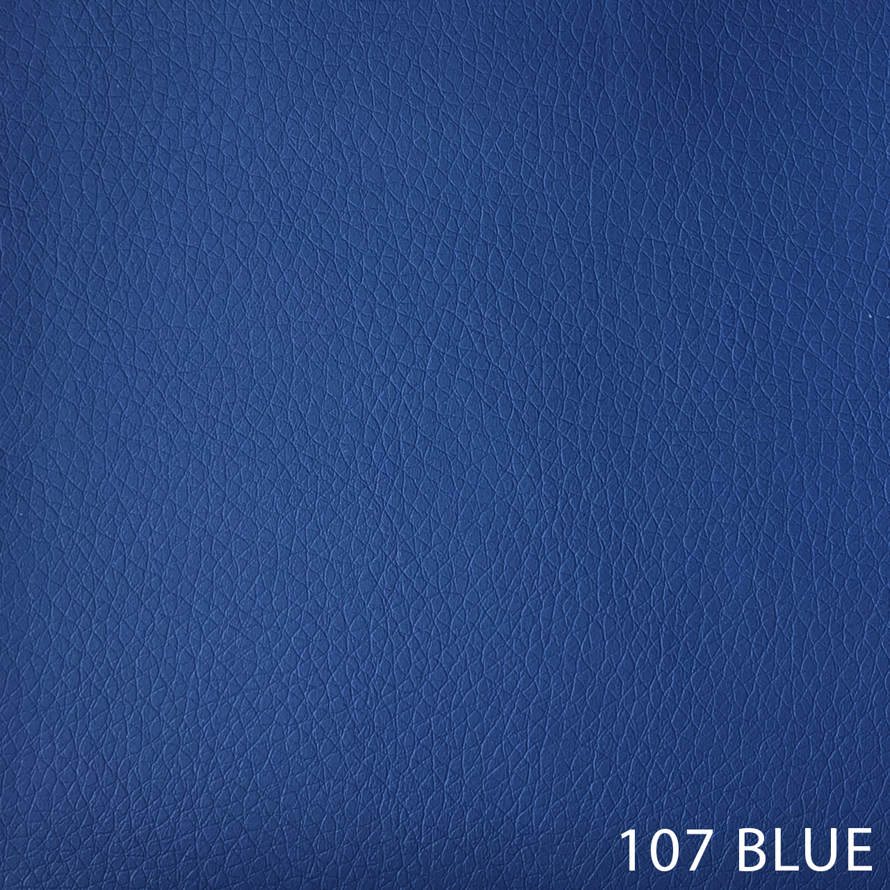 107 BLUE