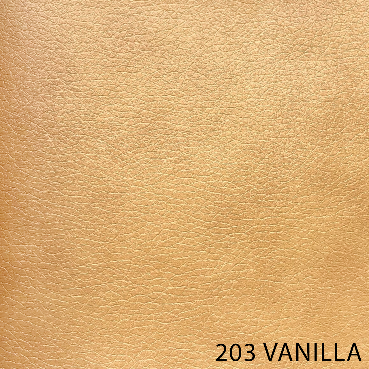 203 VANILLA