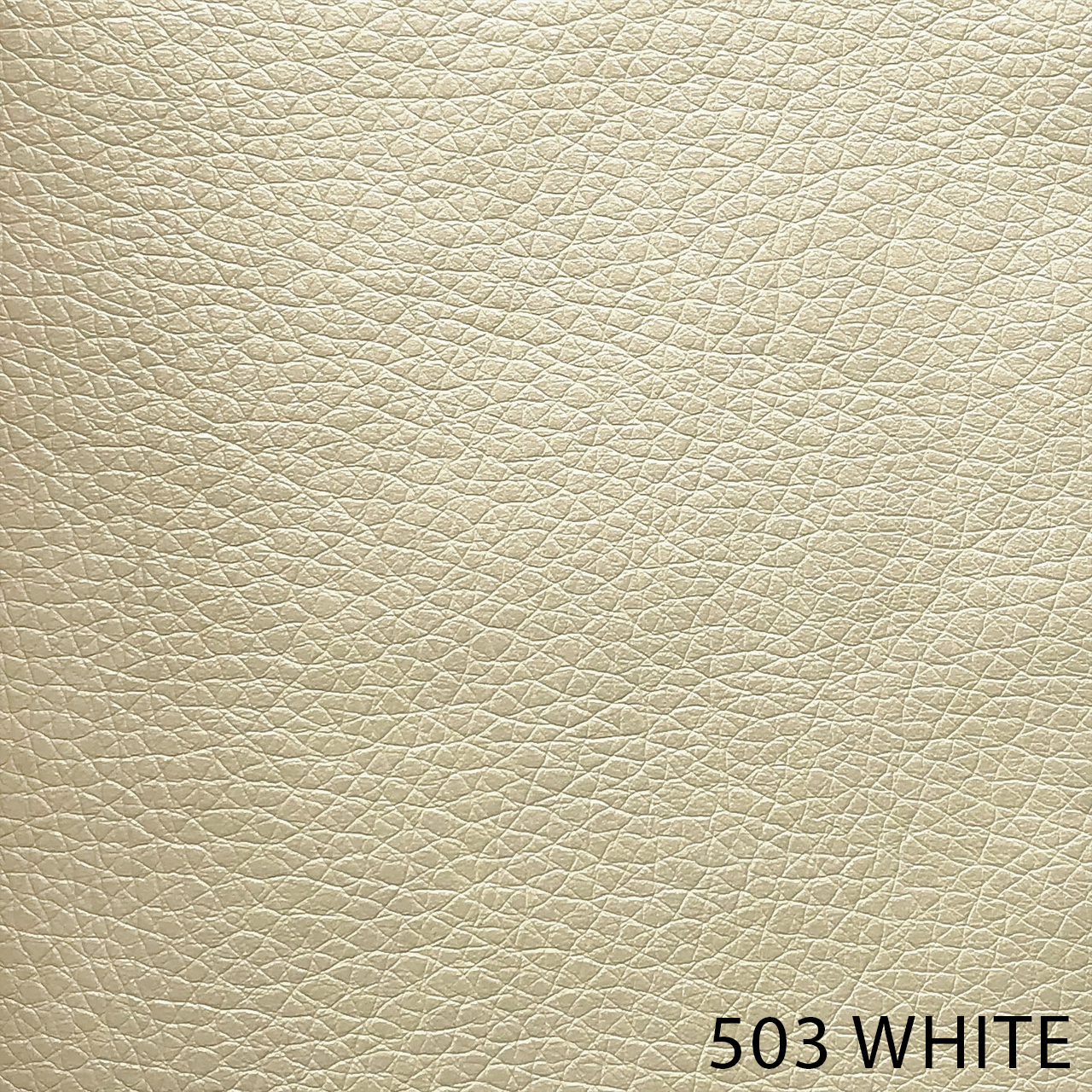 503 WHITE