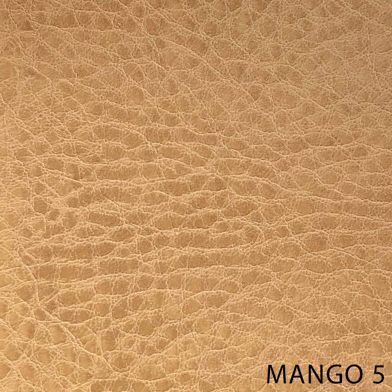 MANGO 5