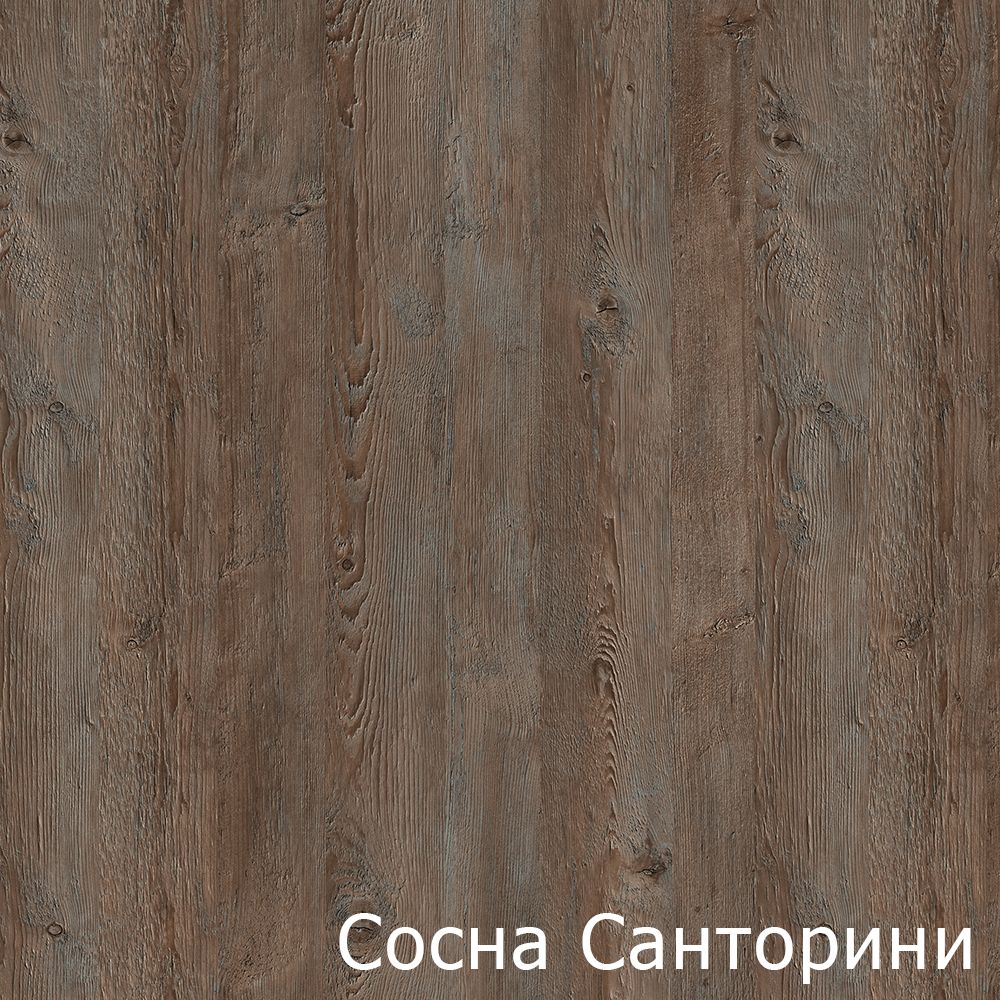 Сосна Санторини