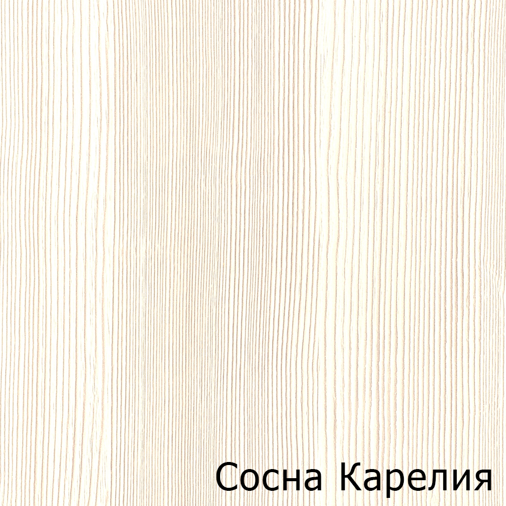 Сосна Карелия