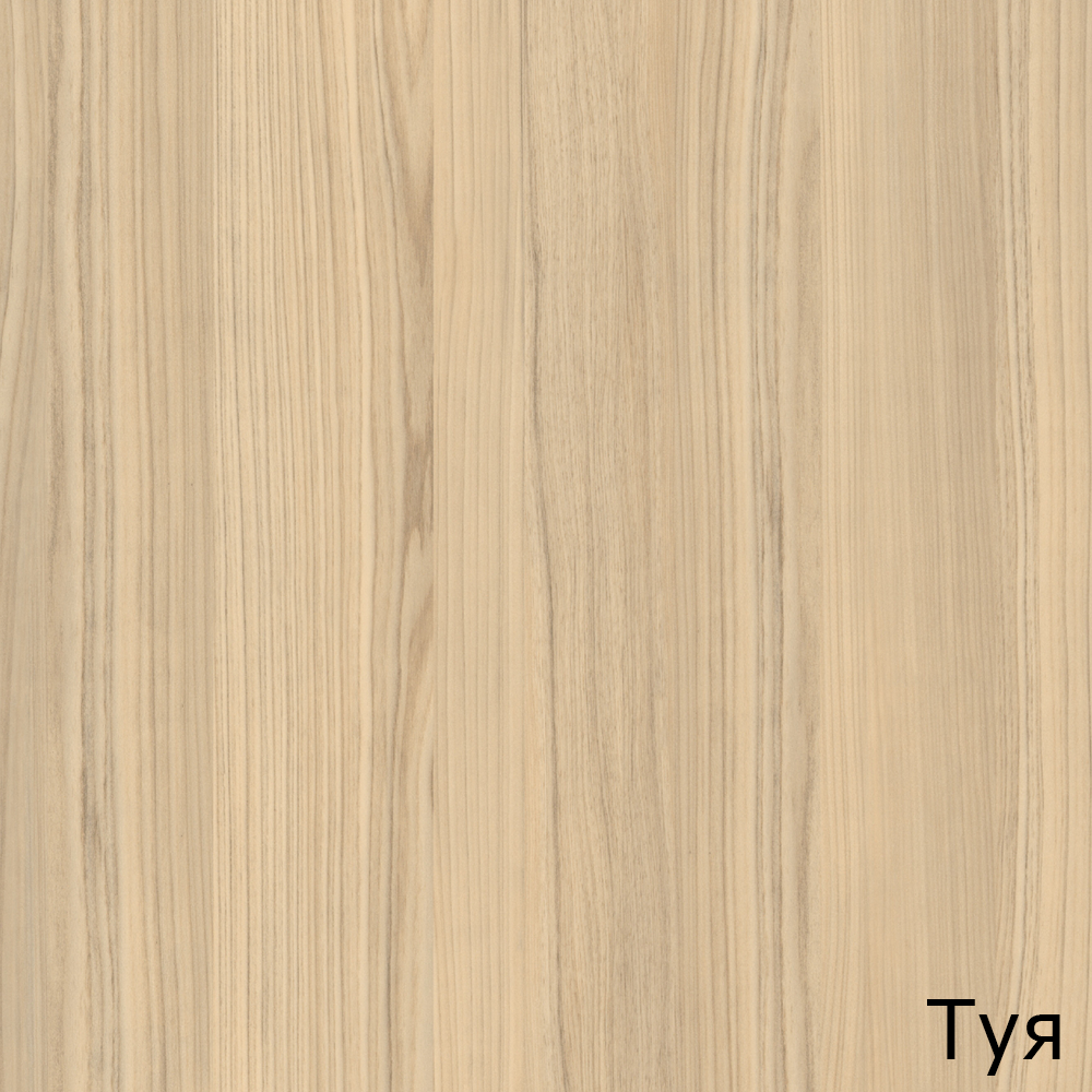 Туя