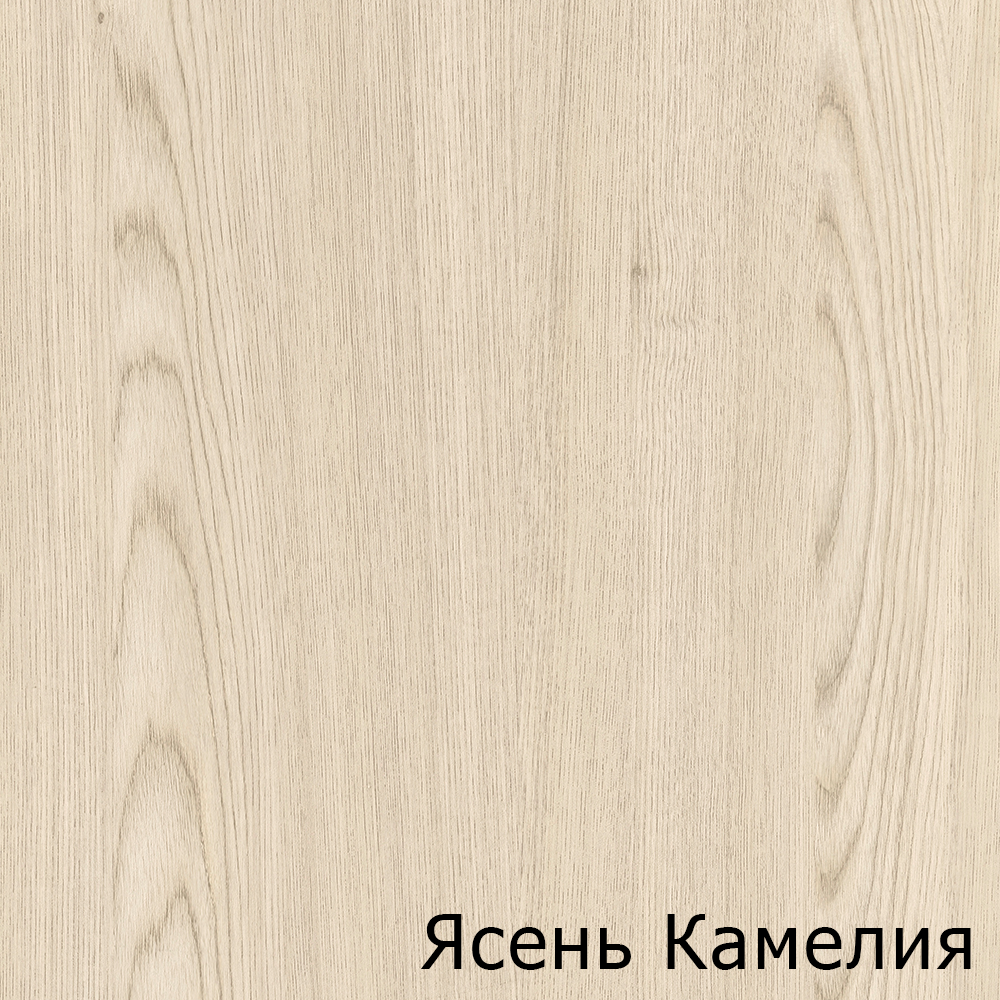 Ясень Камелия
