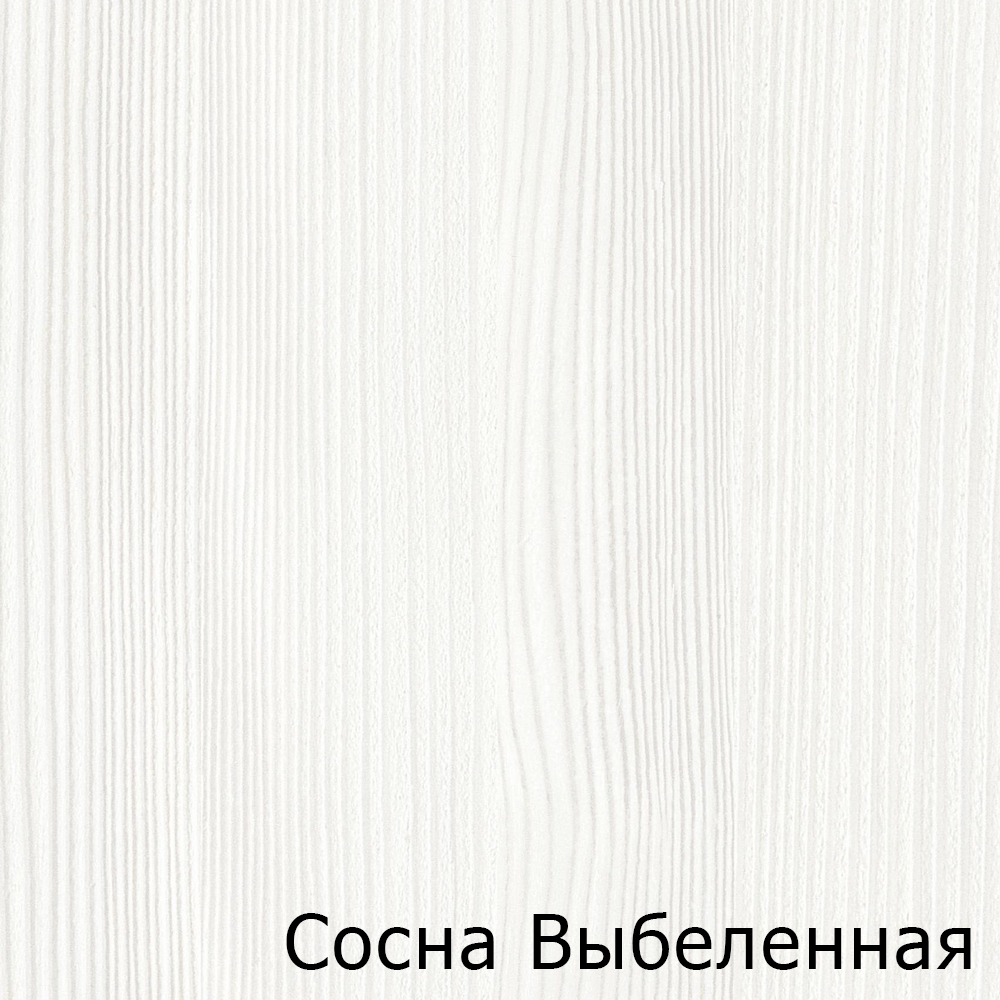 Сосна Выбеленная