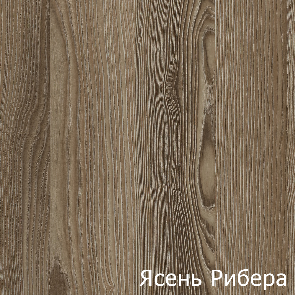 Ясень Рибера