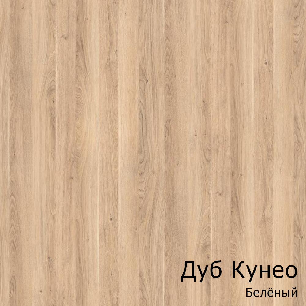 Дуб Кунео