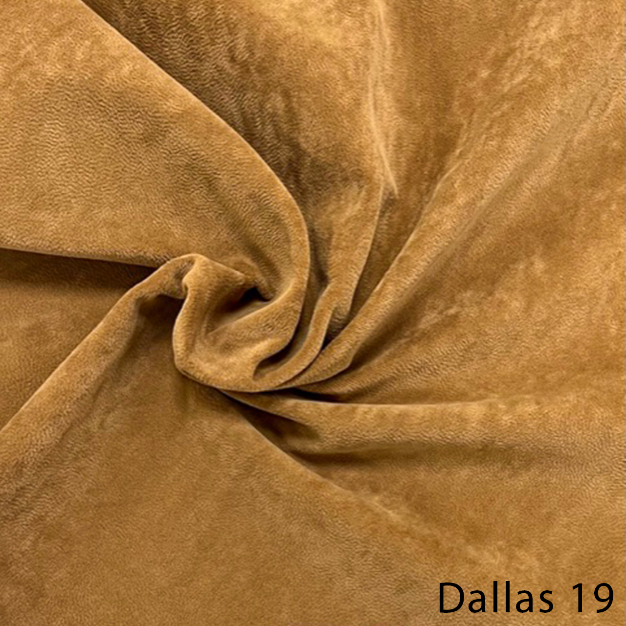 Dallas 19