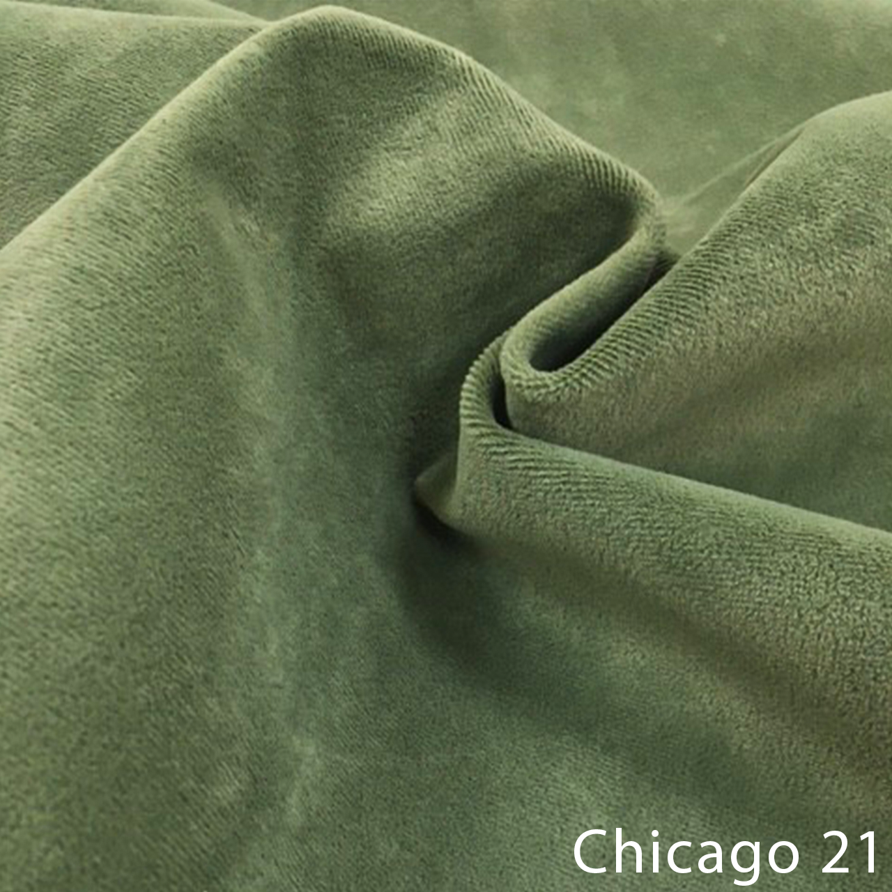 Chicago 21