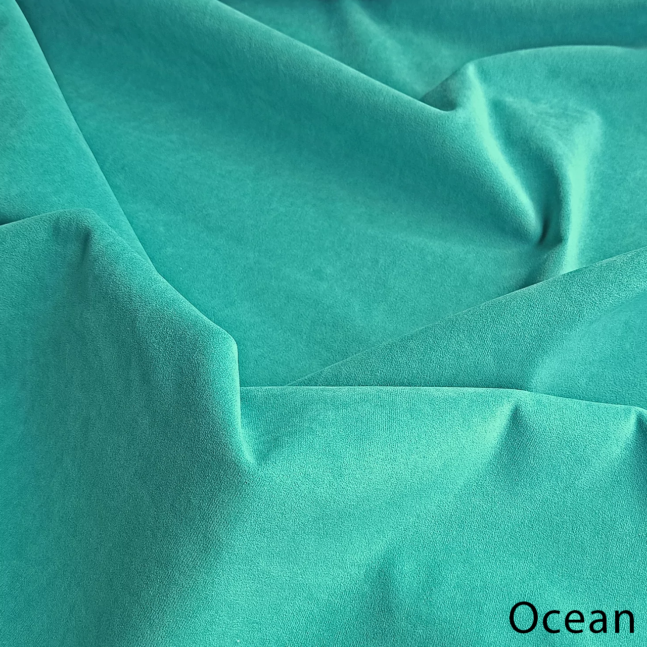 Kyoto Ocean