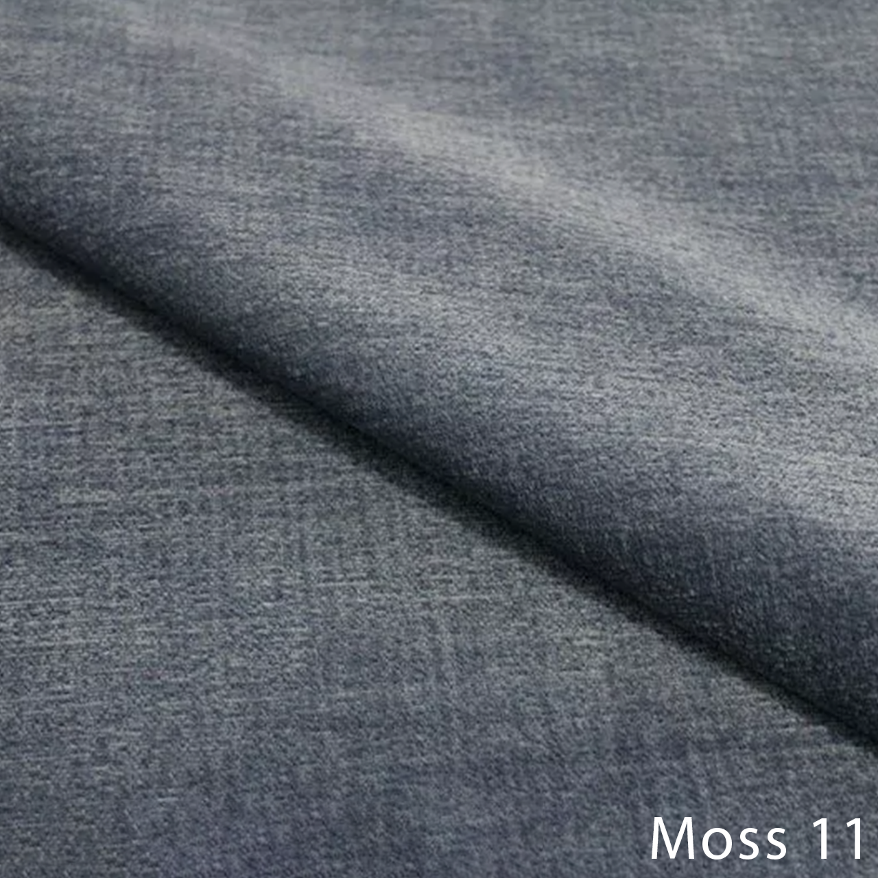 Moss 11