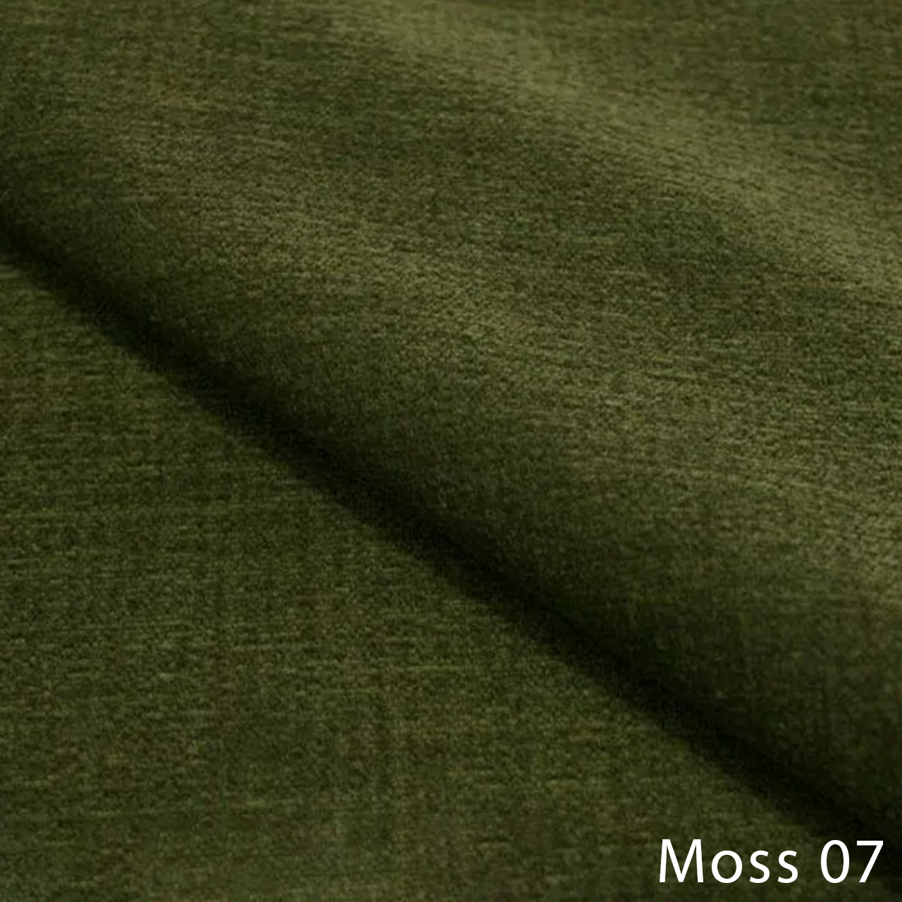 Moss 07