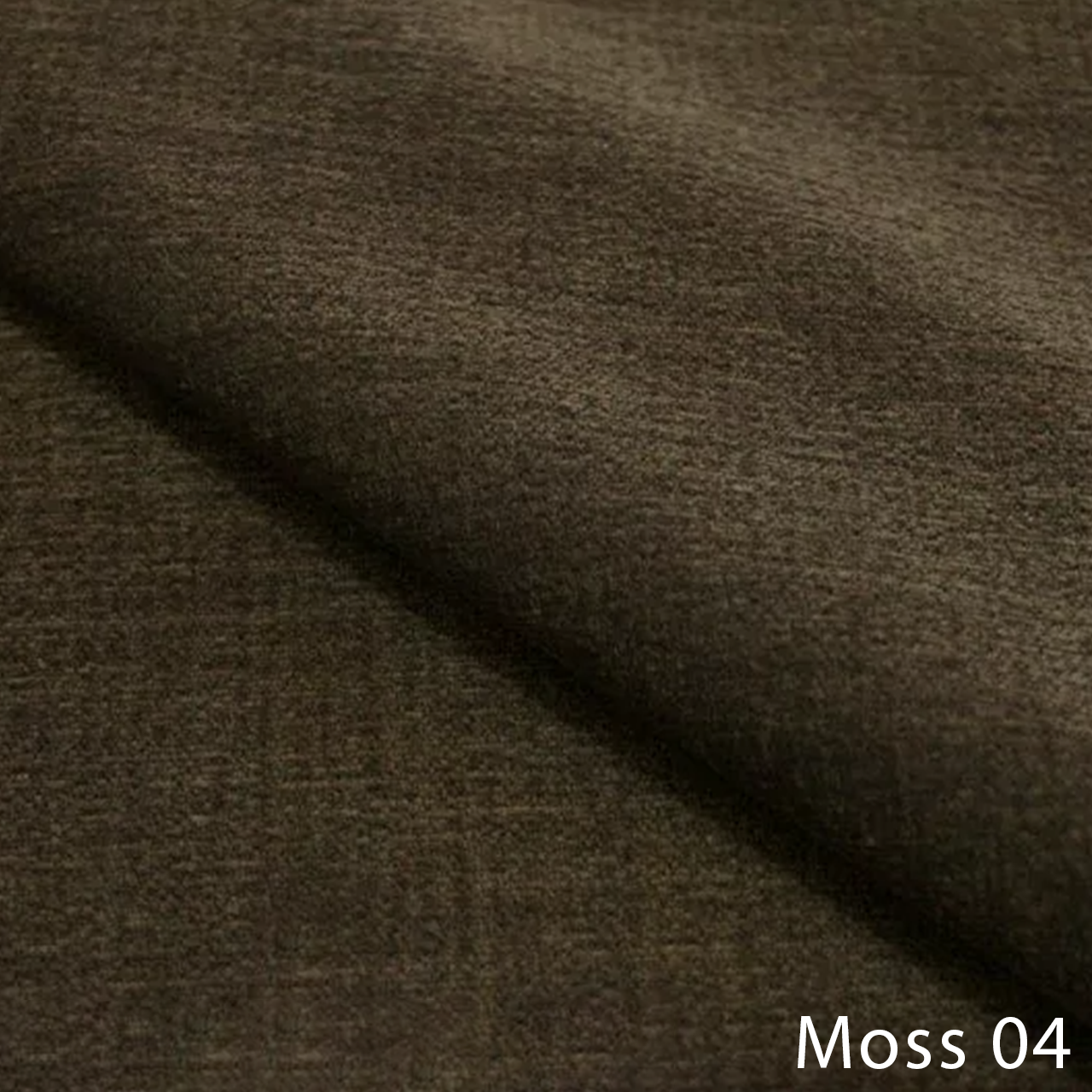 Moss 04