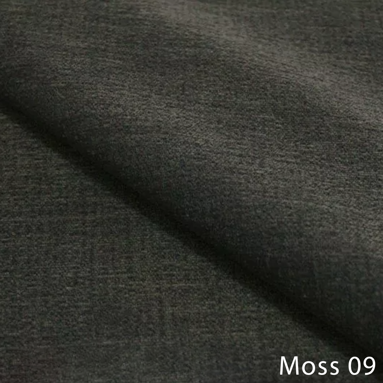 Moss 09