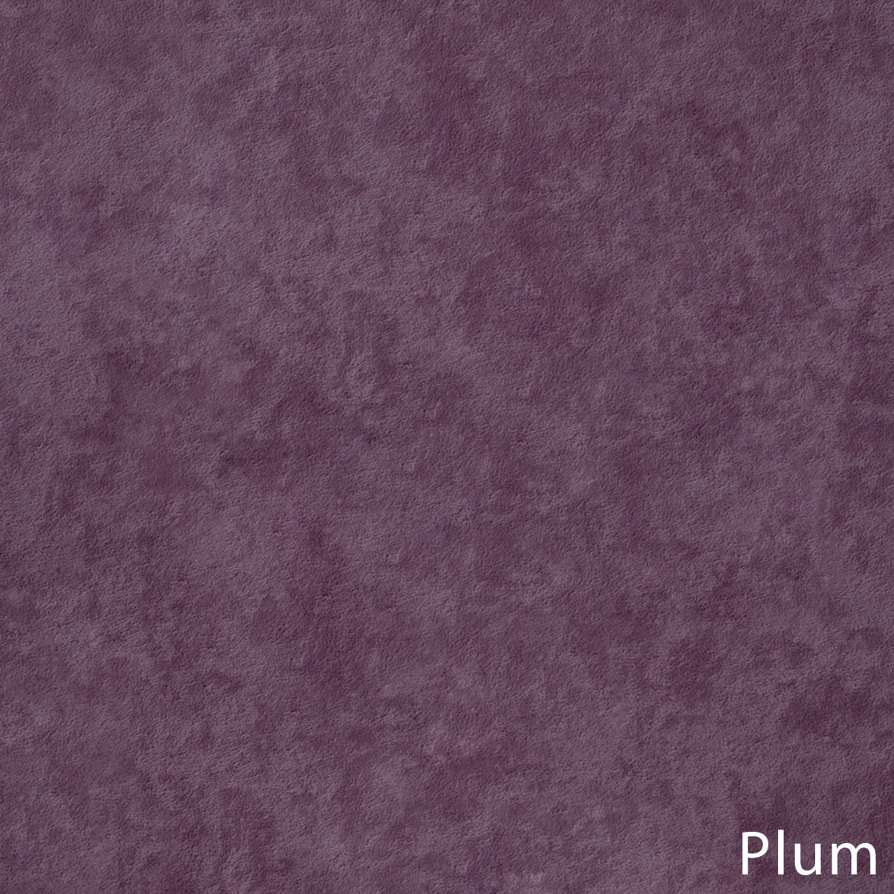 Genezis Plum