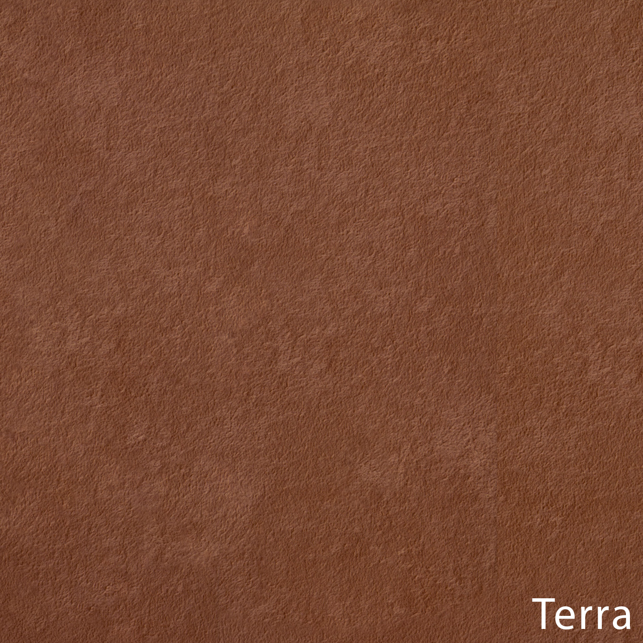 Genezis Terra