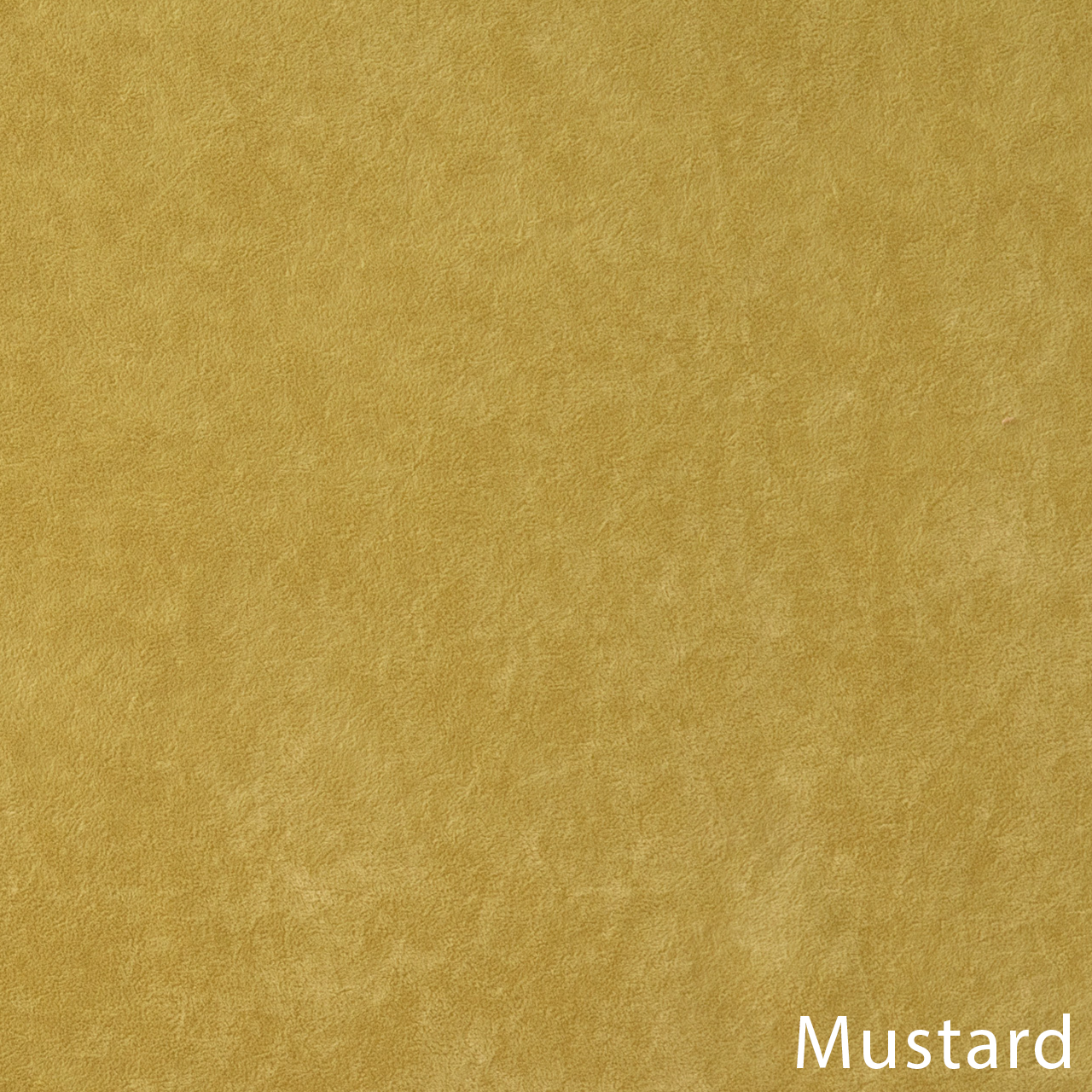 Genezis Mustard