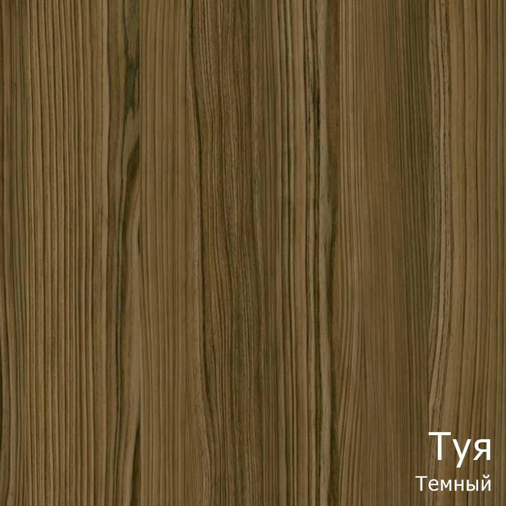 Туя Темная