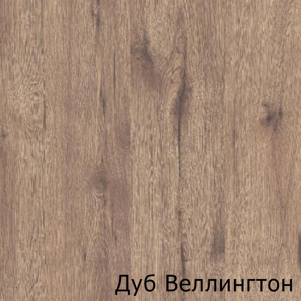 Дуб Веллингтон