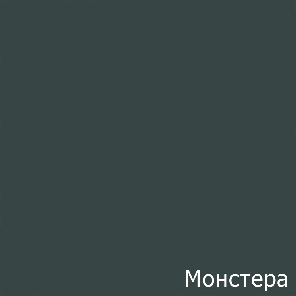 Монстера