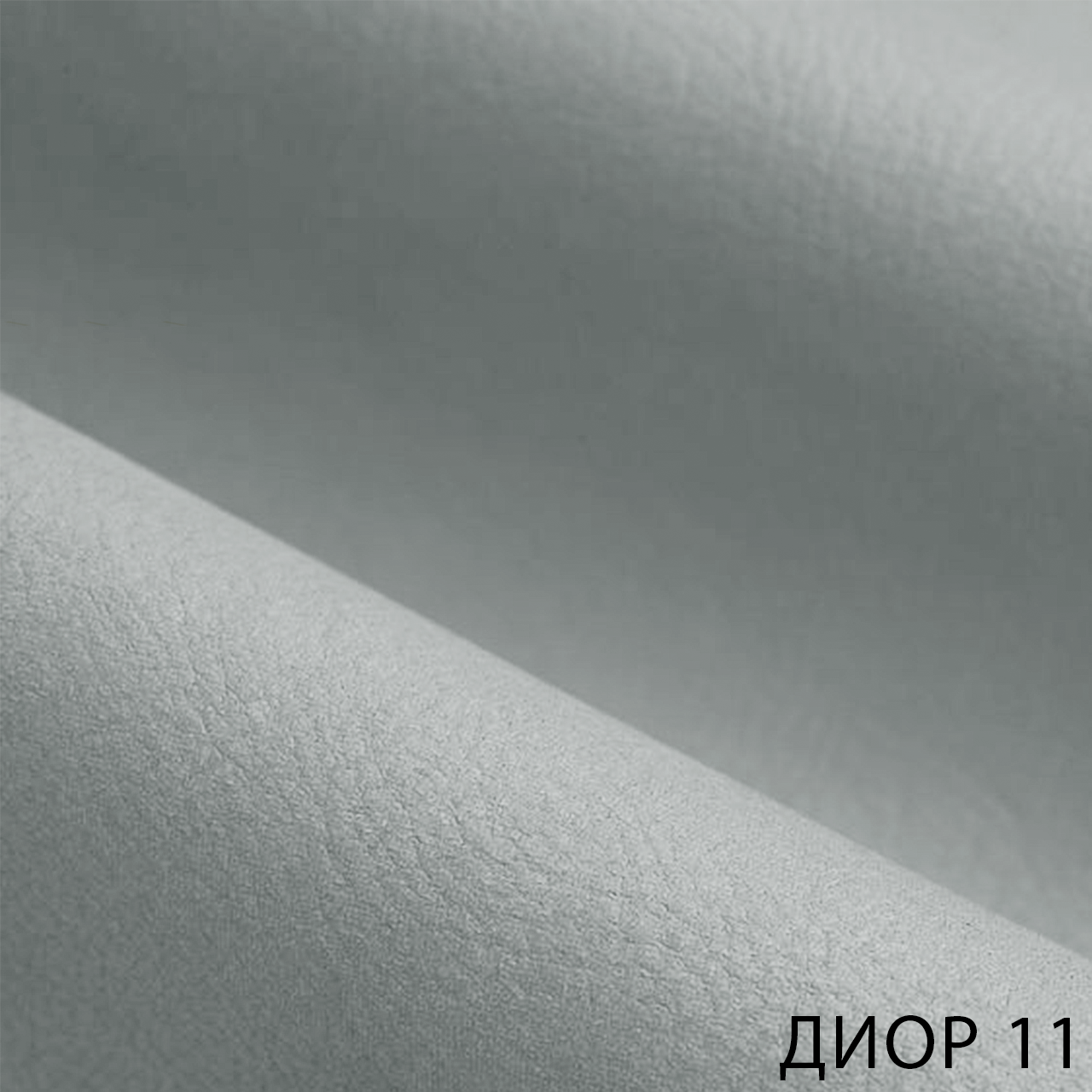 ДИОР 11