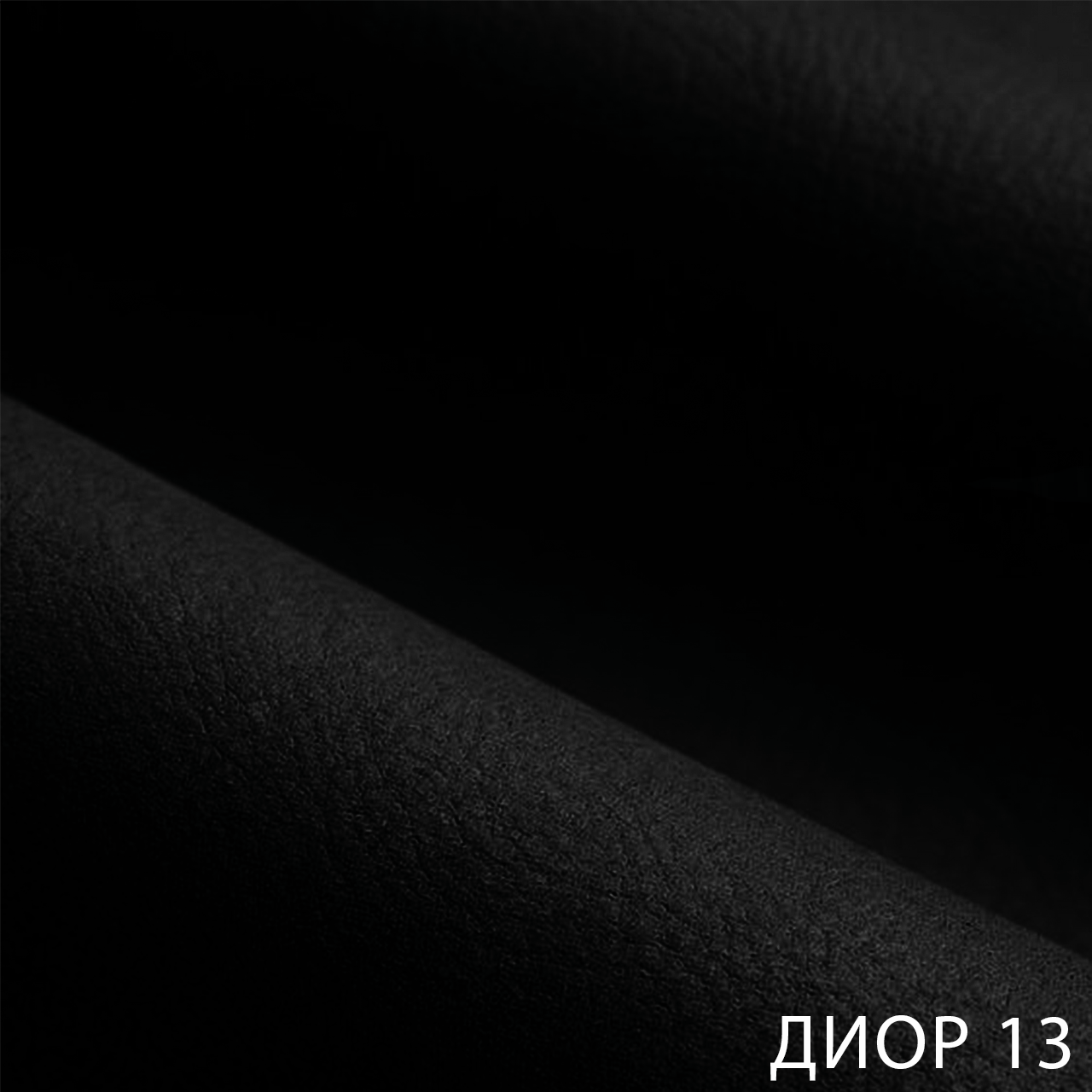 ДИОР 13