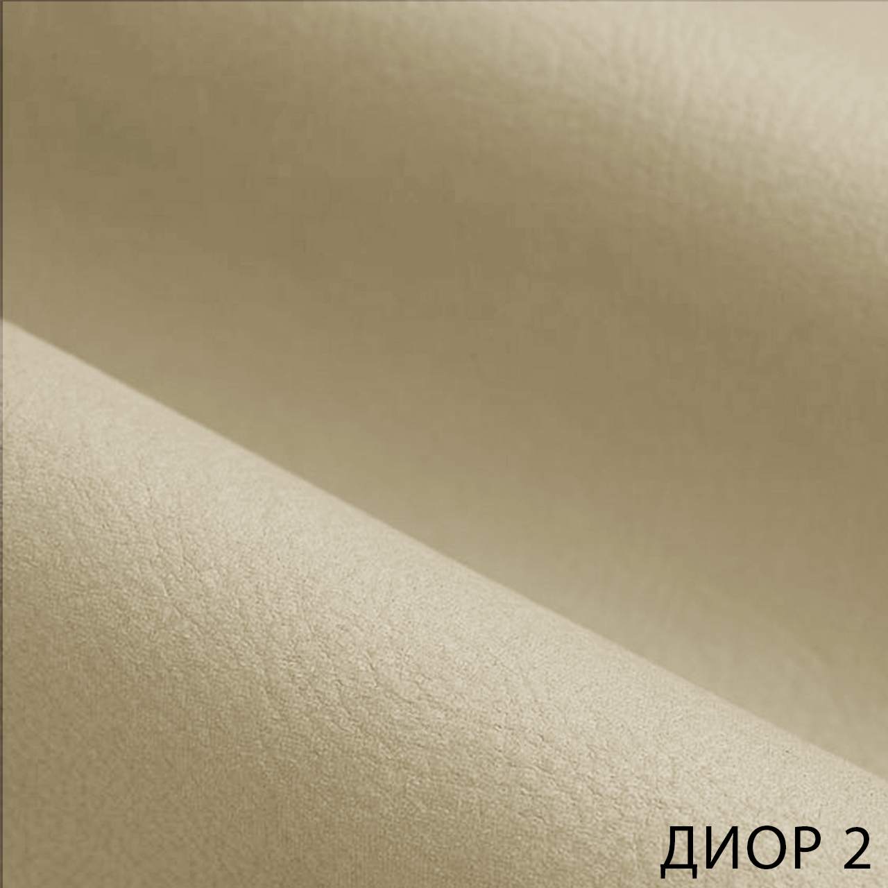 ДИОР 2
