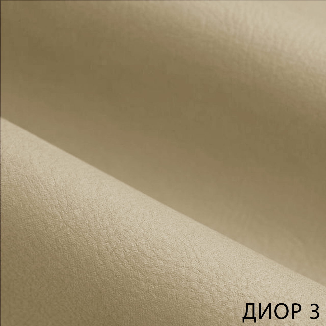 ДИОР 3