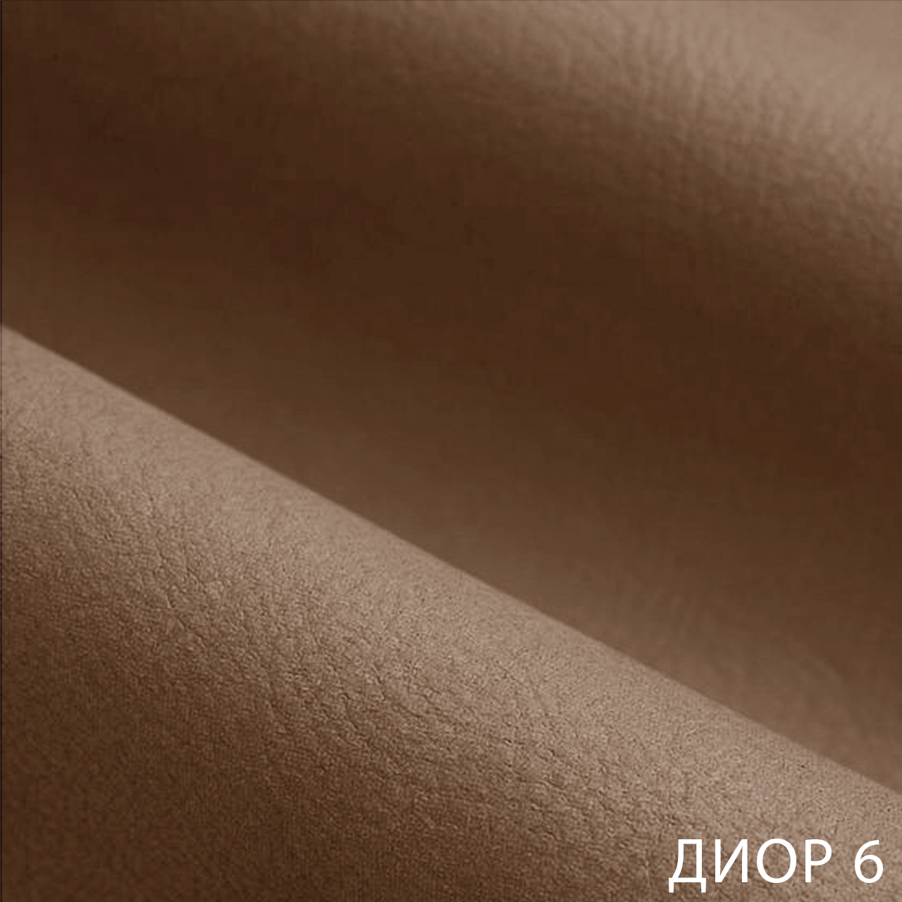 ДИОР 6