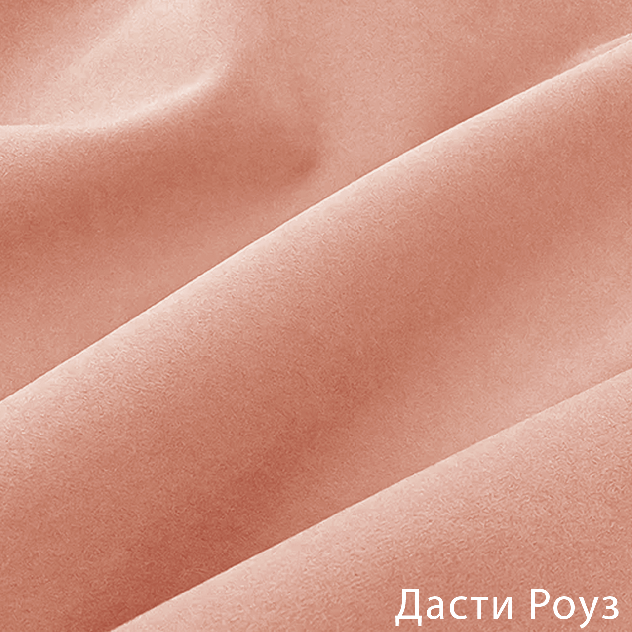 Дасти Роуз
