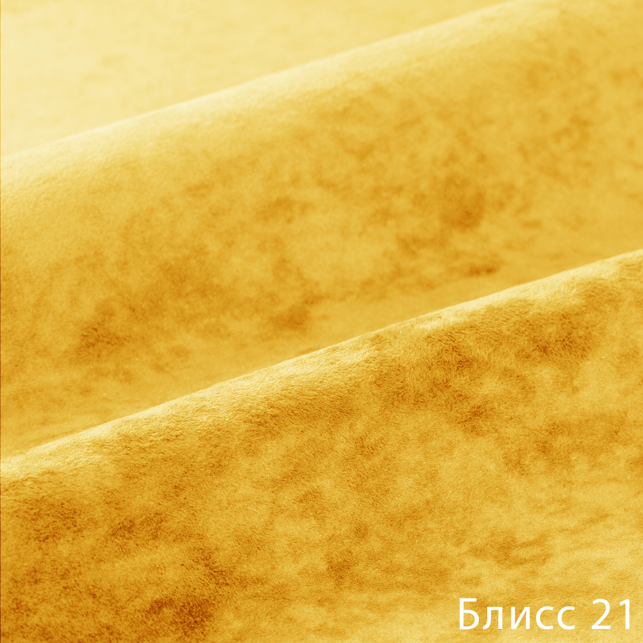 Блисс 21