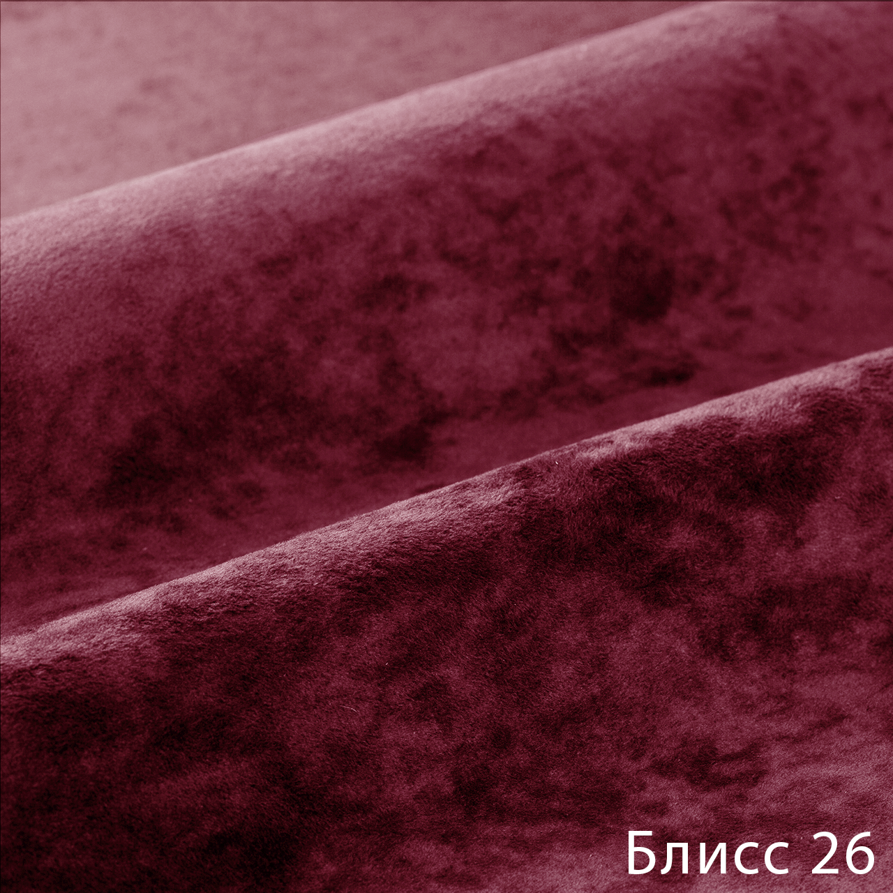 Блисс 26