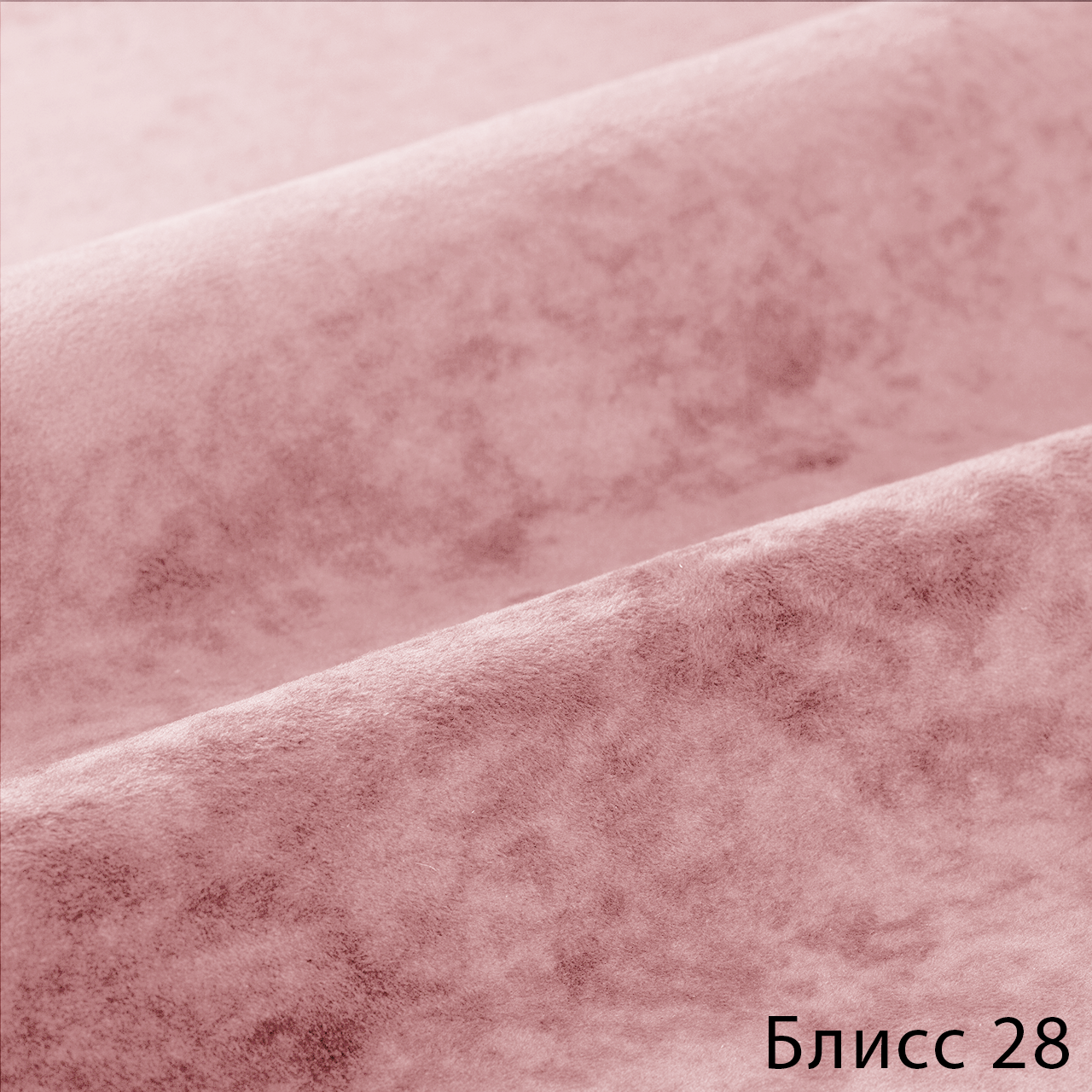 Блисс 28