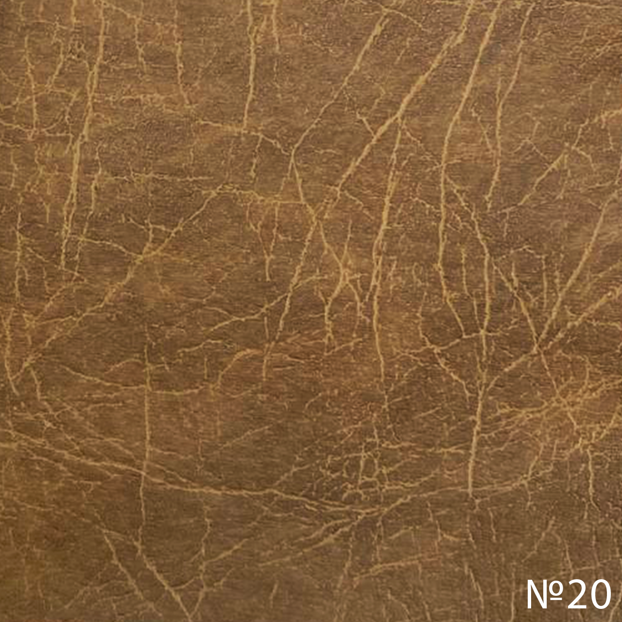 №20 №20